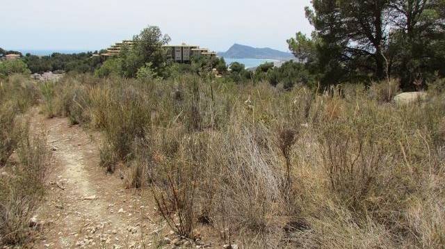 Parcela 1 en Altea Hills (1)